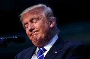 Trump Leads in Polls, Trails in Grassroots Efforts